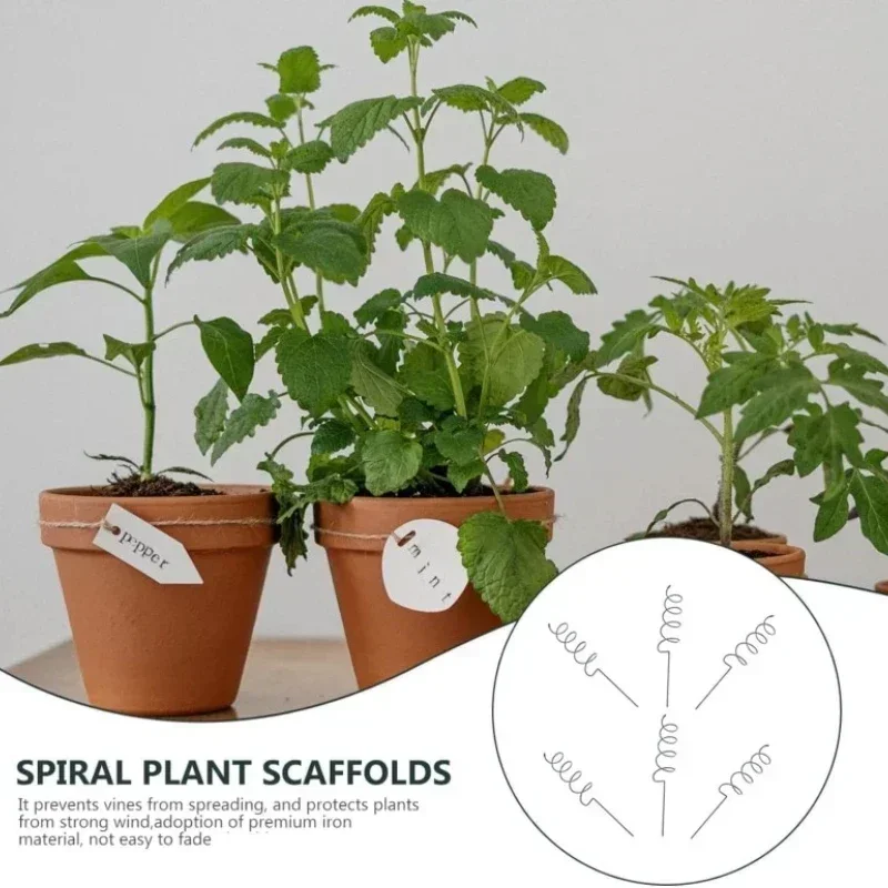 Climbing Plant Support Stake S - Bonsai Garden Usa ulasan dan harga