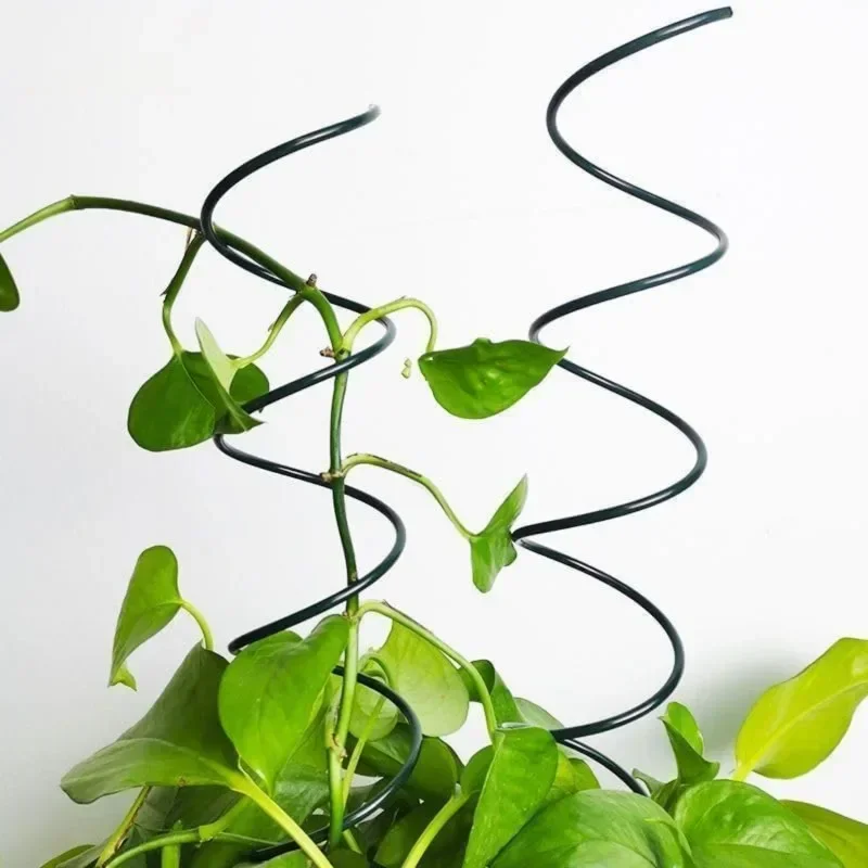 Climbing Plant Support Stake S - Bonsai Garden Usa ulasan dan harga