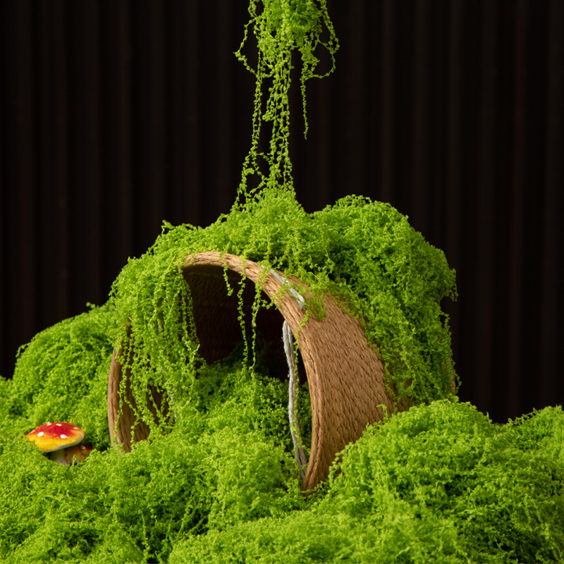 200g Eternal Life Moss DIY Cra - Bonsai Garden Ideas ulasan dan harga