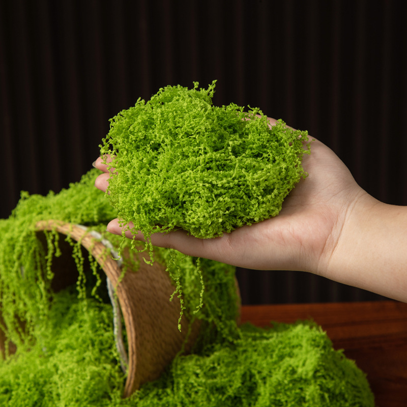 200g Eternal Life Moss DIY Cra - Bonsai Garden Ideas ulasan dan harga