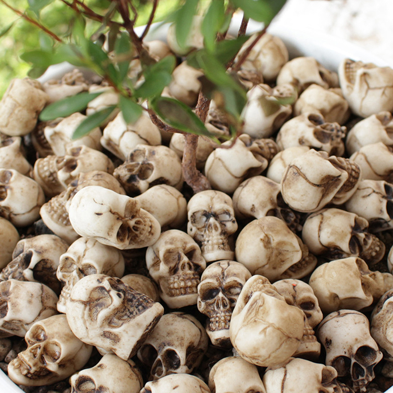 ● 20pcs Mini Skulls Halloween  - Bonsai Garden Ideas ulasan dan harga