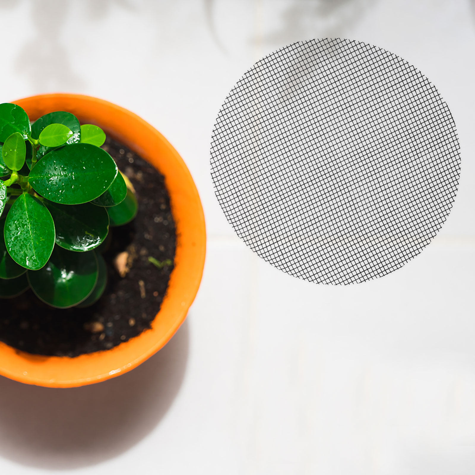 50Pcs Flower Pot Hole Mesh Pad - Bonsai Garden Usa ulasan dan harga