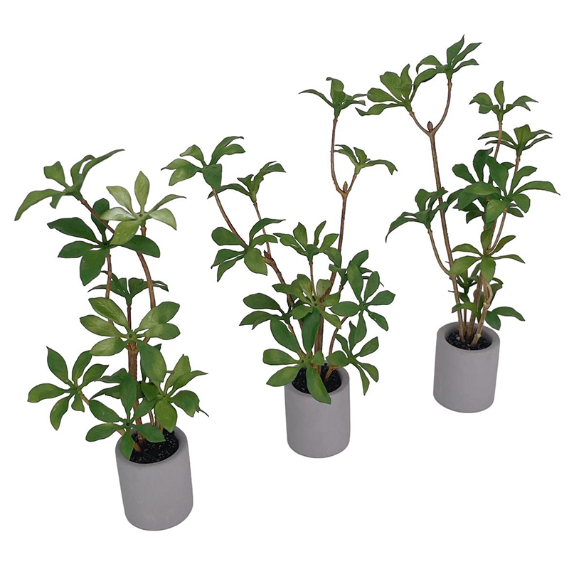 1:6 Dollhouse Miniature Potted - Bonsai Garden Ideas ulasan dan harga