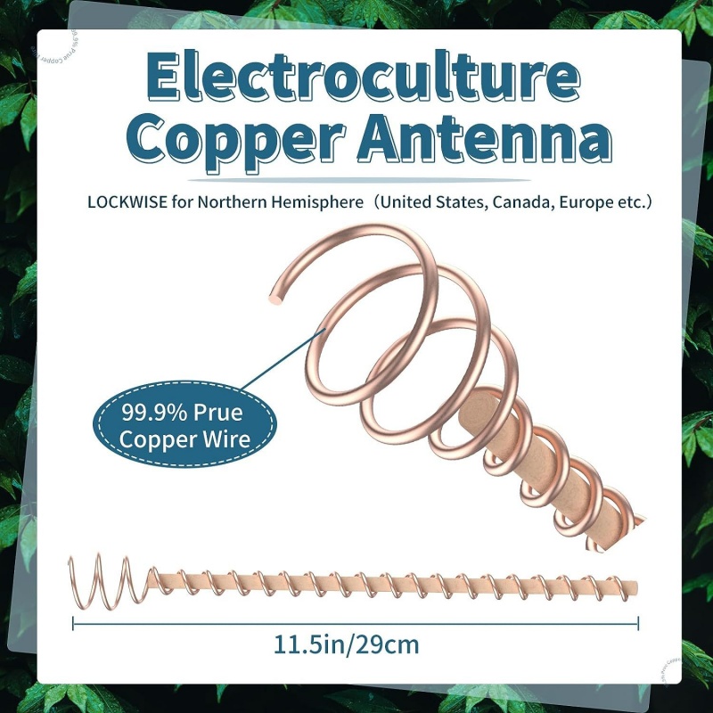 Bonsai Copper Electroculture P - Copper Wire Roll ulasan dan harga