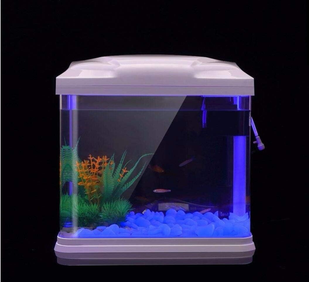 Fish Tank Rocks Glow Blue Pebb - Bonsai Garden Zen ulasan dan harga