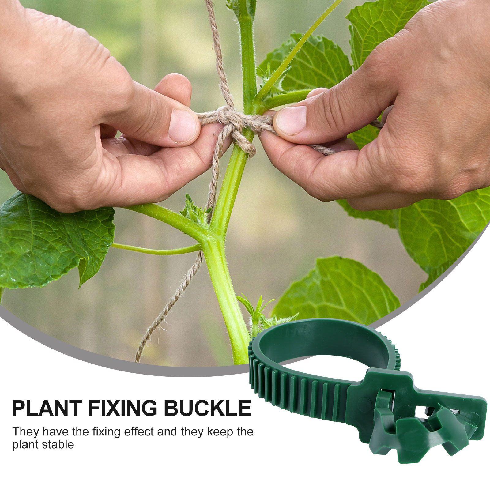 20Pcs Vine Fixing Buckle Garde - Bonsai Garden Usa ulasan dan harga