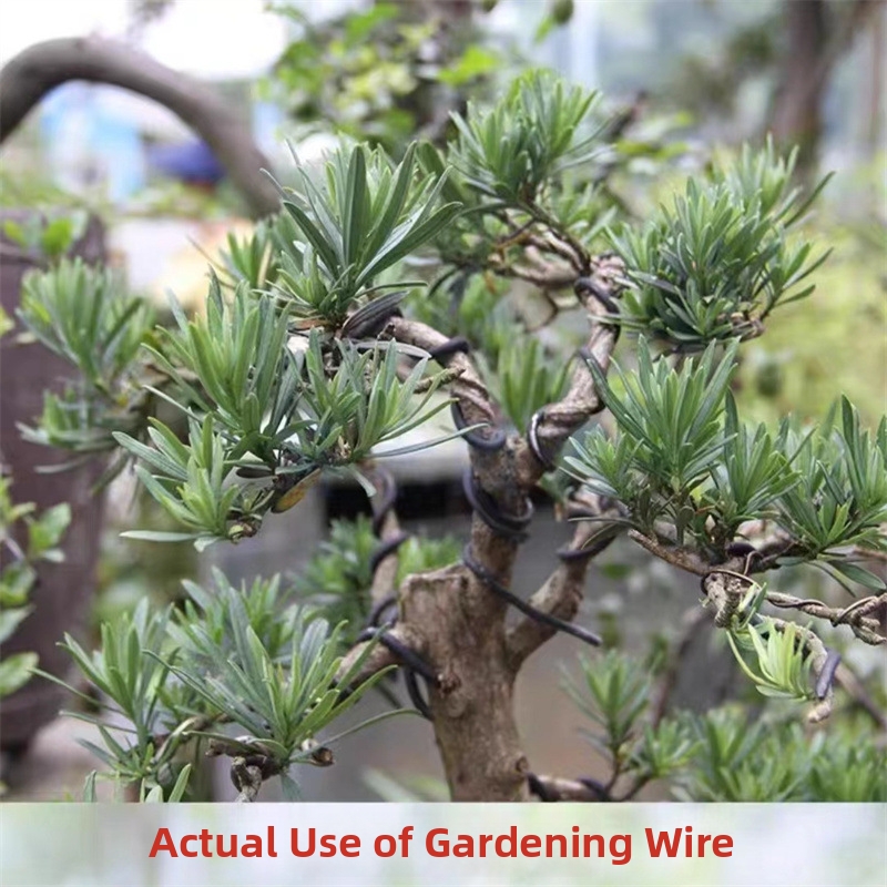 1.5MM Bonsai Wires Aluminum Bo - Bonsai Garden Usa ulasan dan harga