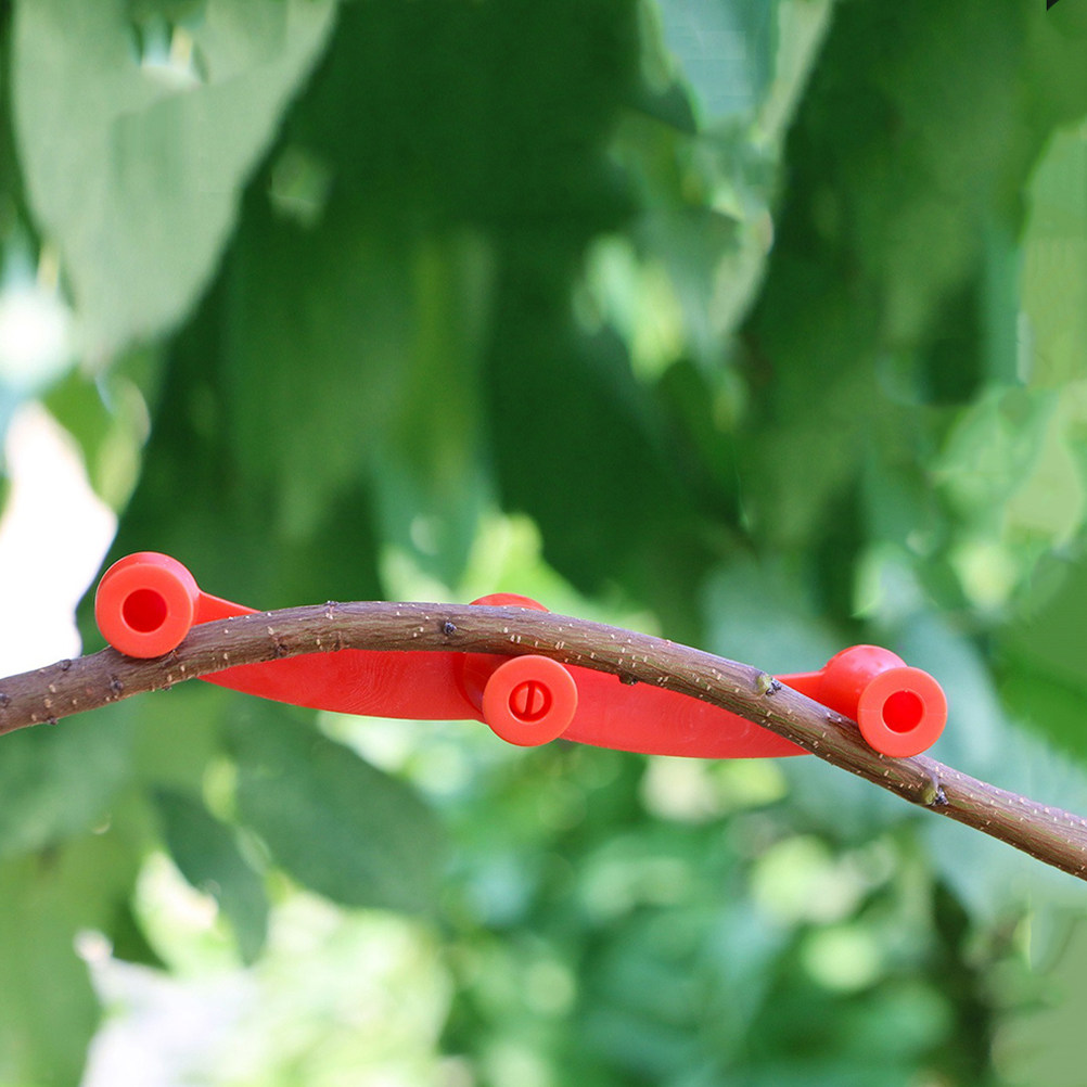 10Pcs Flexible Plant Benders A - Bonsai Garden Usa ulasan dan harga