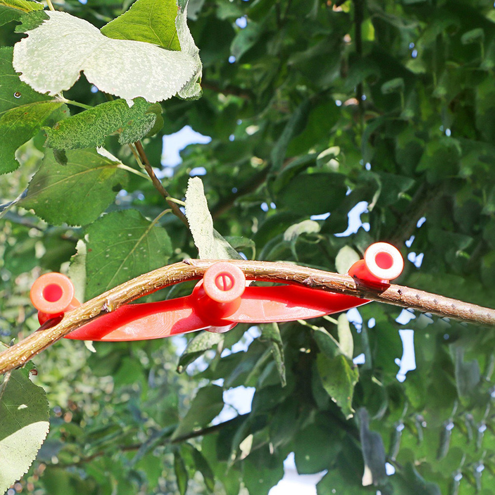 10Pcs Flexible Plant Benders A - Bonsai Garden Usa ulasan dan harga