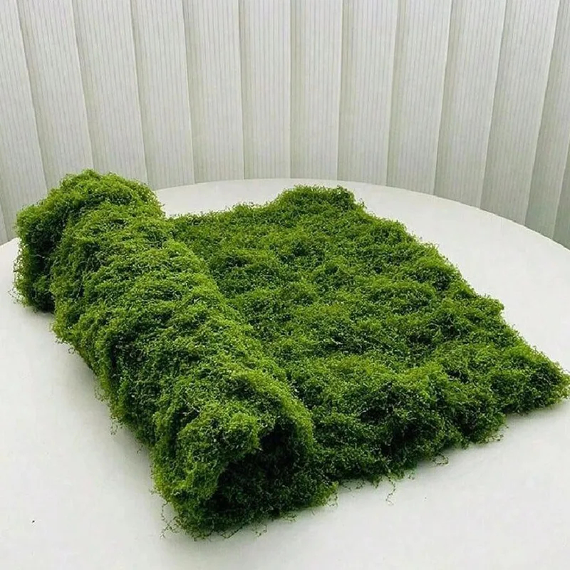 Artificial moss for micro-land - Bonsai Garden Zen ulasan dan harga