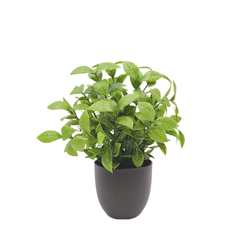 Simulation Green Plant Bonsai  - Bonsai Garden Zen ulasan dan harga