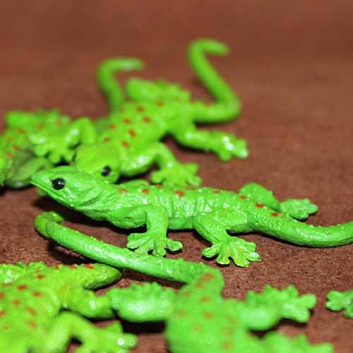 Simulation Lizard Reptile Anim - First Bonsai Garden ulasan dan harga