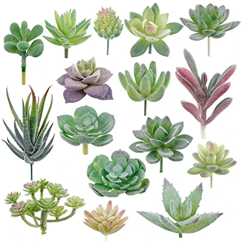 10/20Pcs PVC Succulents Plants - Bonsai Garden Ideas ulasan dan harga